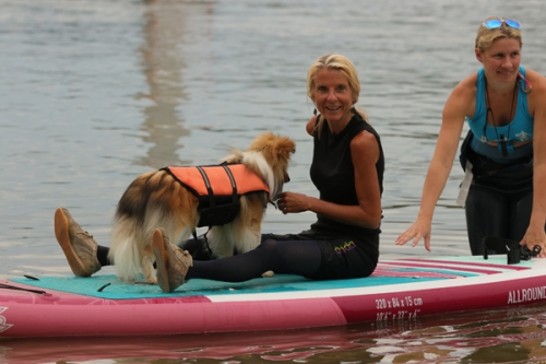 Dog Surfing with Sabine Eichhorn, Heidenfahrt Beach, Ingelheim a. Rh., July 15th 2023
