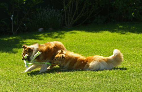 June 26, 2020: Siena (r) playing with her mother Concetta (l)