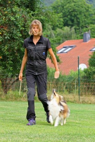 Obedience-Training with Neil Short, Seibersbach, July 2016