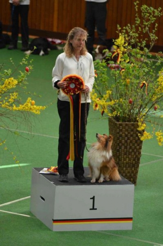 German Obedience Champion (VDH) 2012, Gross Groenau