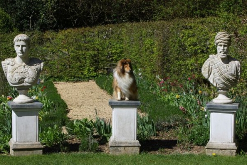 Painswick Rococo Garden, April 2015